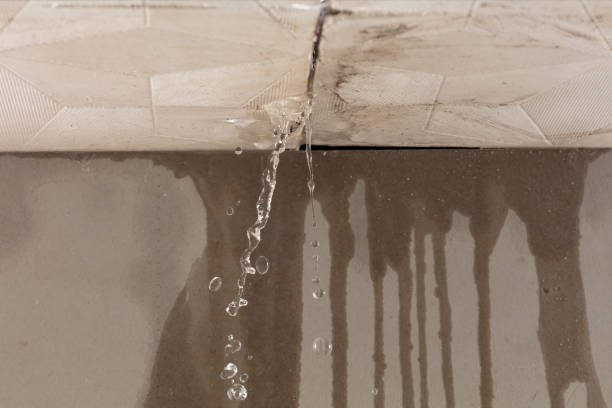 Professional Water Damage Restoration technician working in Waverly, TN